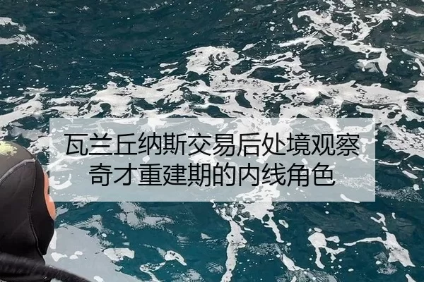 wa-lan-qiu-na-si-jiao-yi-hou-chu-jing-guan-cha-qi-cai-chong-jian-qi-de-nei-xian-jue-se-2-174.jpg